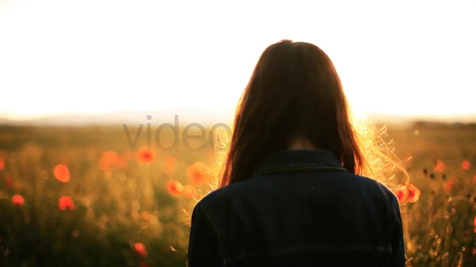 Girl In The Wild Poppies Field  Videohive 5006074 Stock Footage Image 2