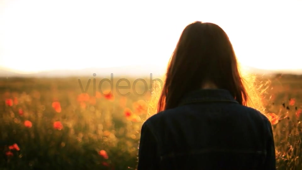 Girl In The Wild Poppies Field  Videohive 5006074 Stock Footage Image 3