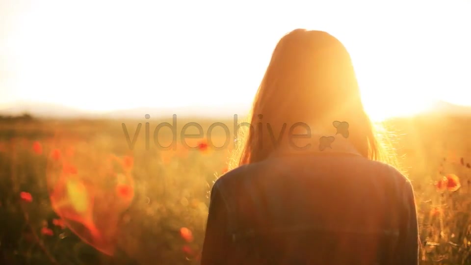Girl In The Wild Poppies Field  Videohive 5006074 Stock Footage Image 4