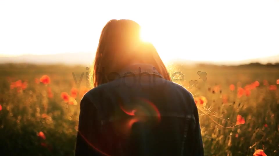 Girl In The Wild Poppies Field  Videohive 5006074 Stock Footage Image 5
