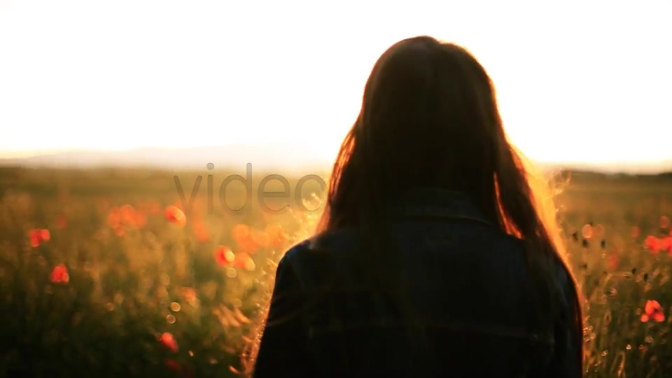Girl In The Wild Poppies Field  Videohive 5006074 Stock Footage Image 6