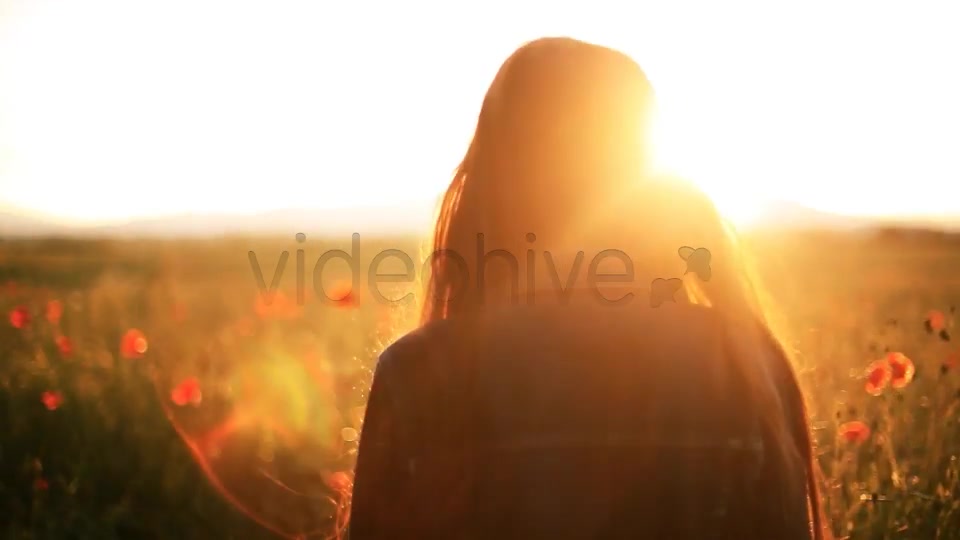 Girl In The Wild Poppies Field  Videohive 5006074 Stock Footage Image 7