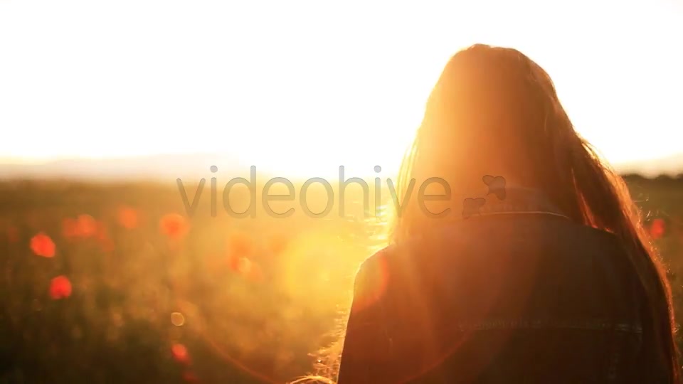 Girl In The Wild Poppies Field  Videohive 5006074 Stock Footage Image 8