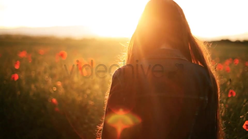 Girl In The Wild Poppies Field  Videohive 5006074 Stock Footage Image 9