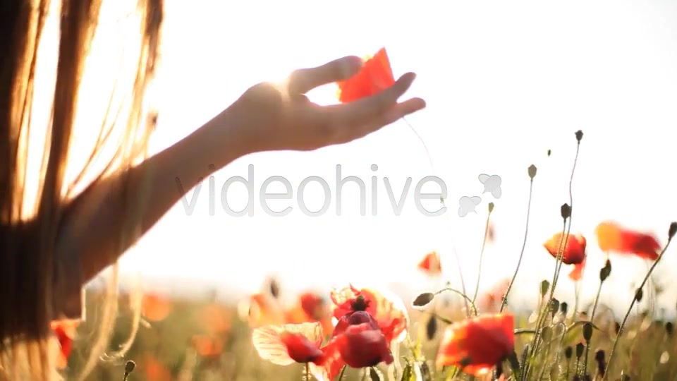 Girl Looking At Wild Poppies  Videohive 5007450 Stock Footage Image 10