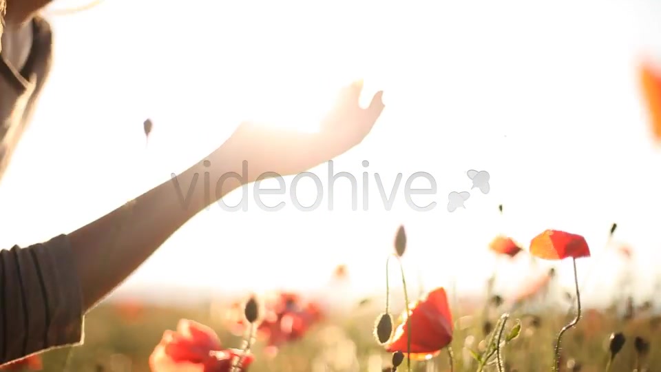 Girl Looking At Wild Poppies  Videohive 5007450 Stock Footage Image 5