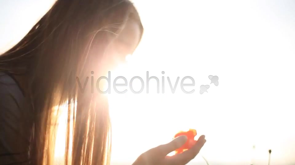 Girl Looking At Wild Poppies  Videohive 5007450 Stock Footage Image 6