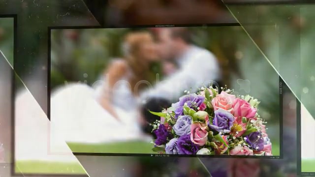 Glossy Wedding - Download Videohive 2337122