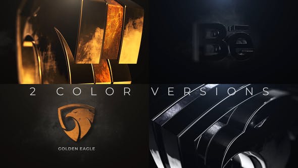 Gold And Silver Logo Reveal - 24753721 Download Videohive