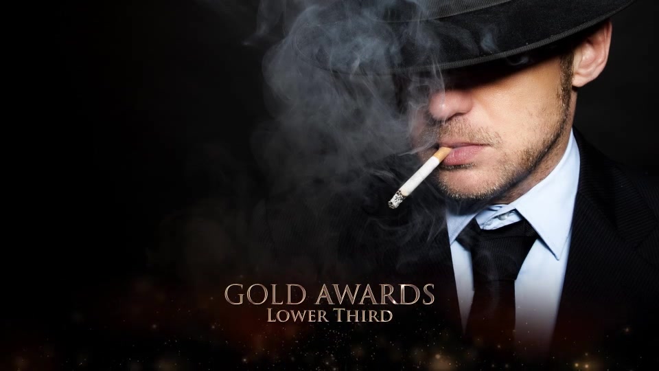 Gold Awards - Download Videohive 20268254