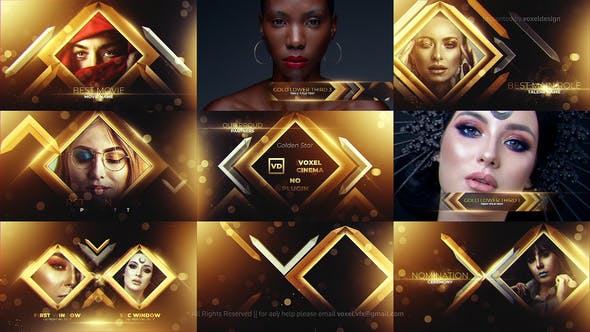 Gold Awards Package - Download 29434273 Videohive
