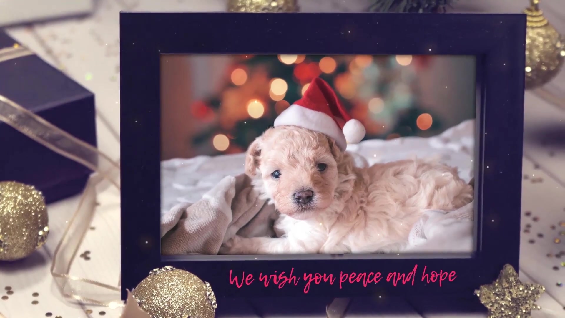 Gold Christmas Slideshow Videohive 29742218 After Effects Image 11