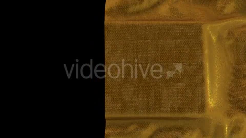 Gold Cloth Reveal 2 - Download Videohive 17936223