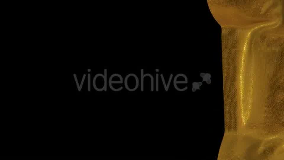 Gold Cloth Reveal 2 - Download Videohive 17936223