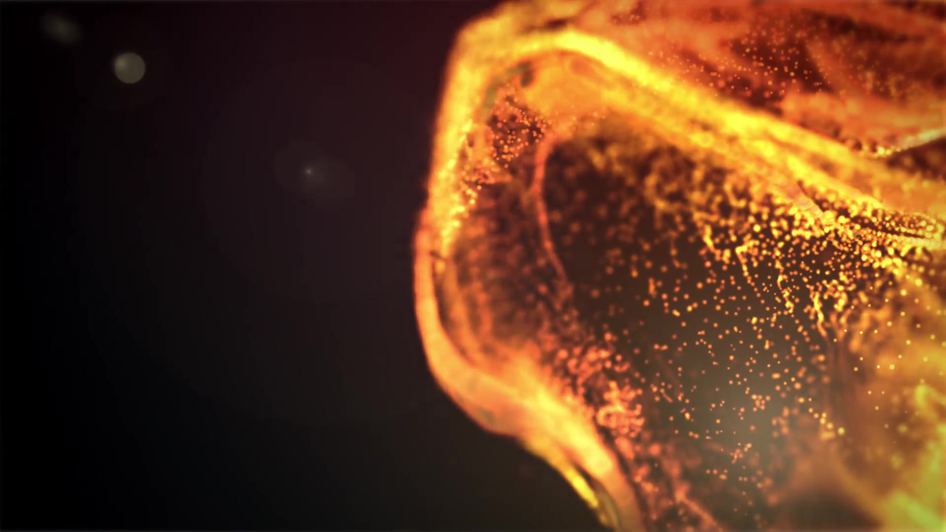 Gold Dust Particle Sequence Videohive 28459574 After Effects Image 5
