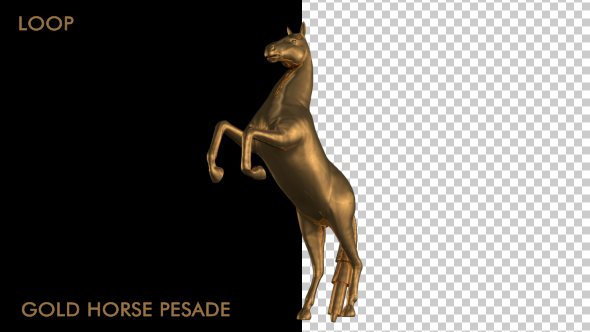 Gold Horse Pesade - Download Videohive 19692482