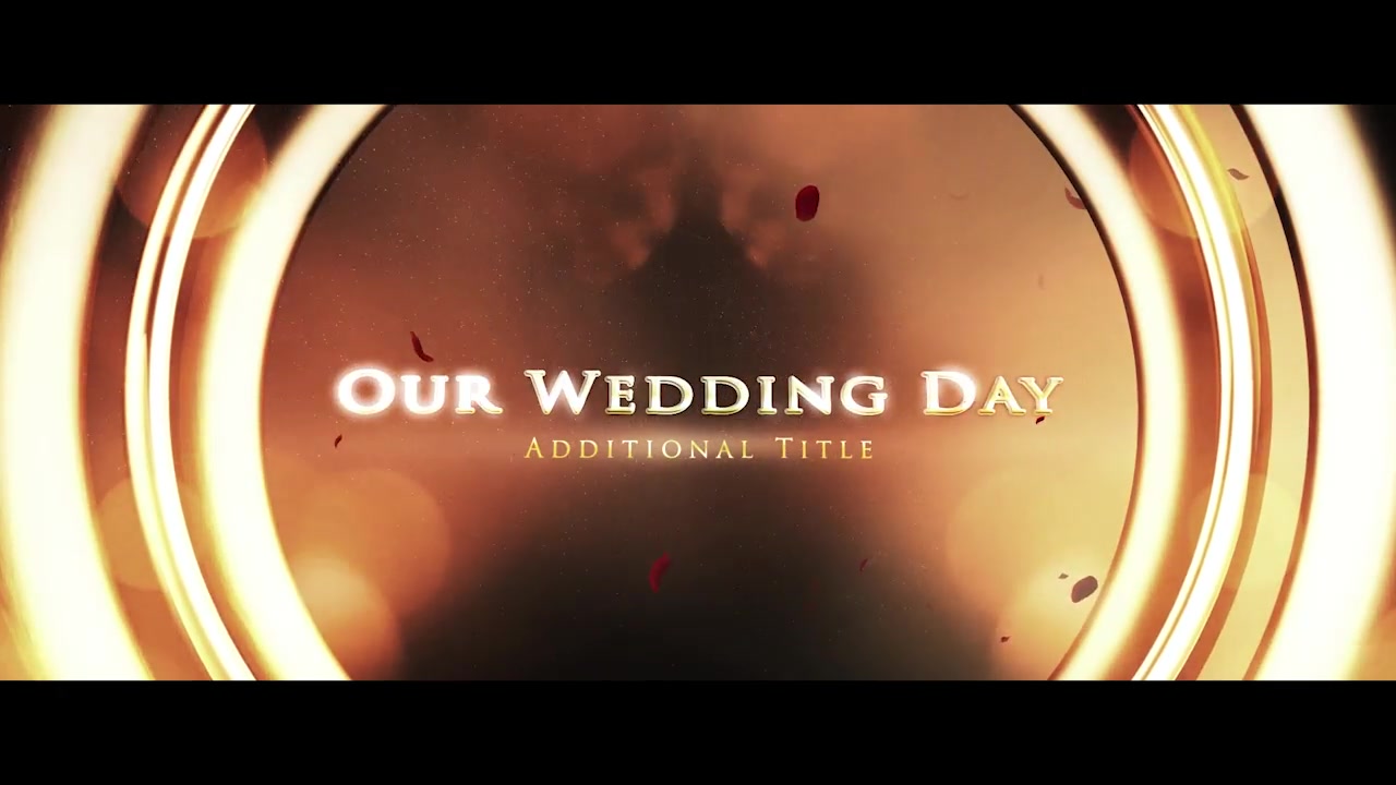 Gold Rings Opener Videohive 15619248 After Effects Image 11
