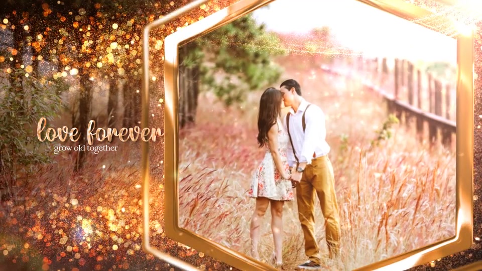 Gold Wedding Slideshow Videohive 28662612 After Effects Image 11