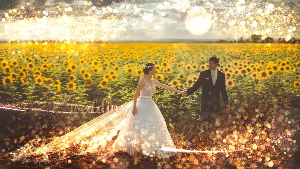 Gold Wedding Slideshow Videohive 28662612 After Effects Image 6