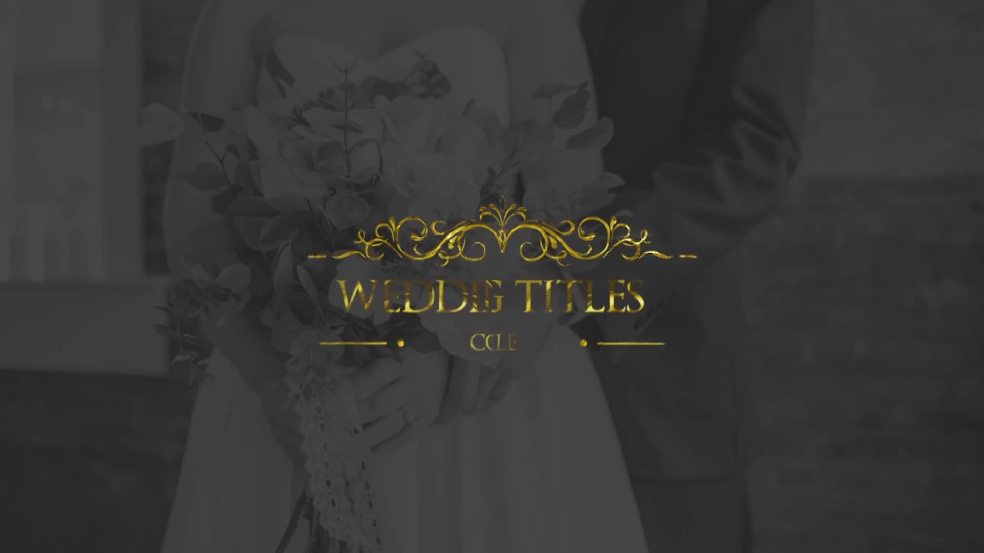 Gold Wedding Titles Videohive 33220882 Premiere Pro Image 2