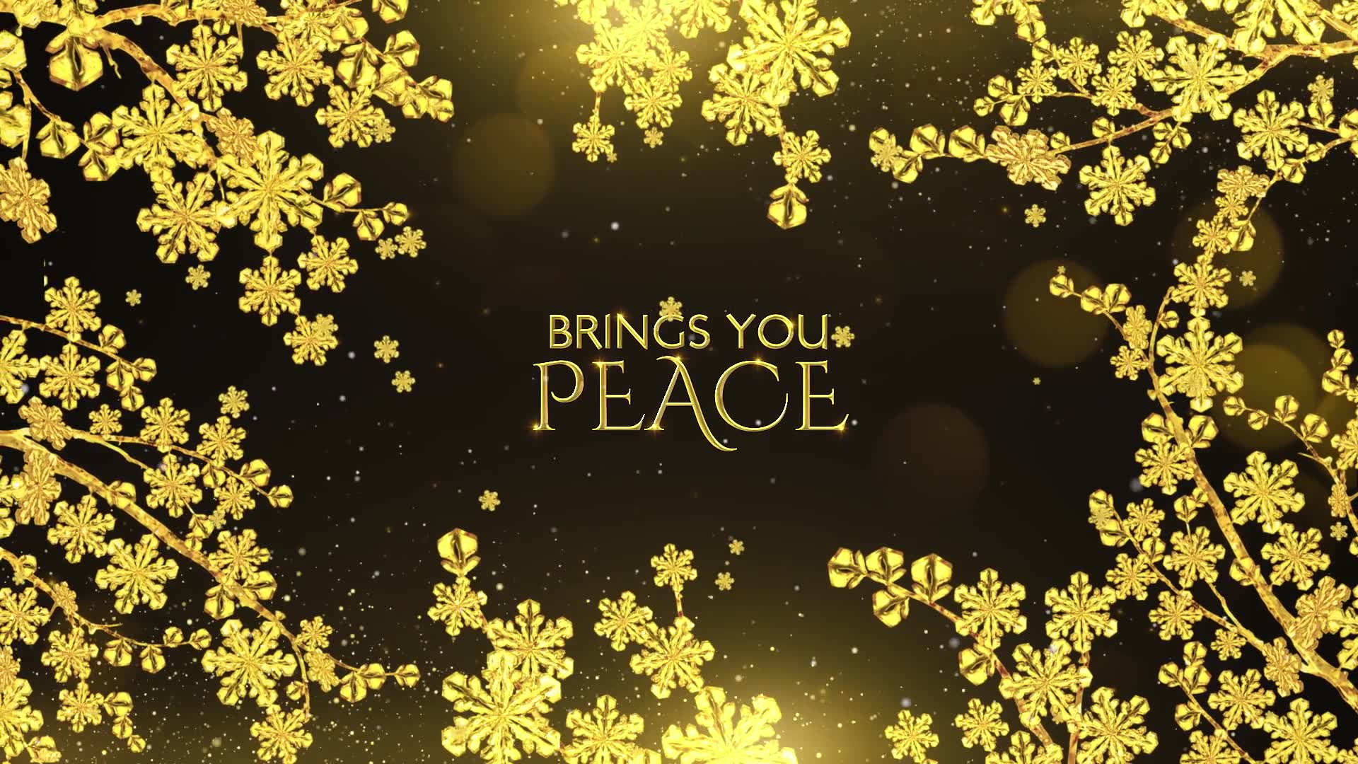 Golden Christmas Wishes Apple Motion Videohive 25049132 Apple Motion Image 3