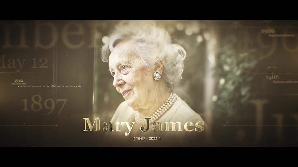 Golden History Documentary Timeline Videohive 29986227 After Effects Image 3