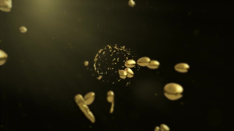 Golden Liquid Logo Reveal Videohive 12407241 After Effects Image 2