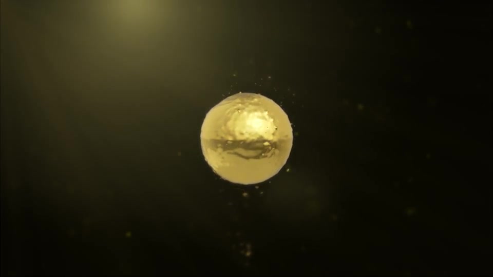 Golden Liquid Logo Reveal Videohive 12407241 After Effects Image 5