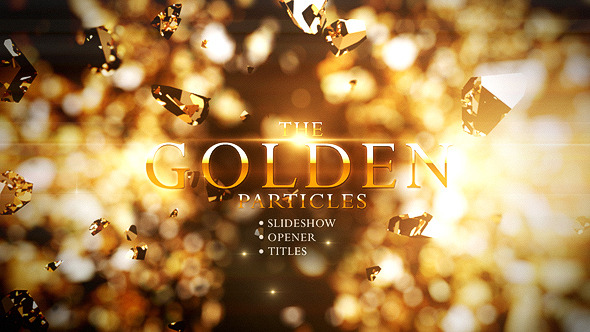 Golden Particles - Download Videohive 11239475