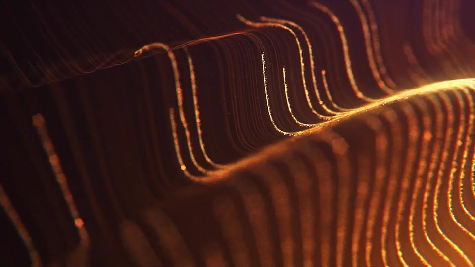 Golden Strings Logo Videohive 24702923 After Effects Image 5