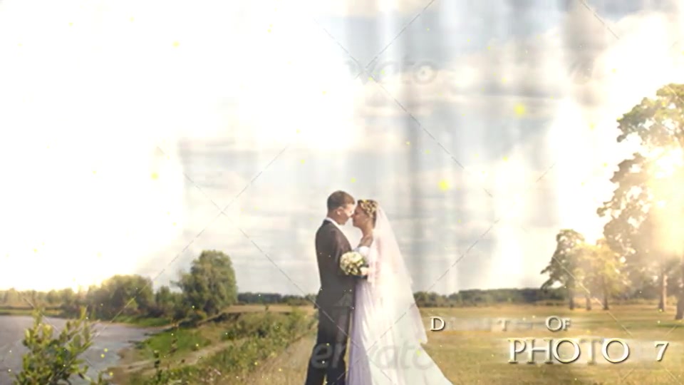 Golden Wedding - Download Videohive 6636588