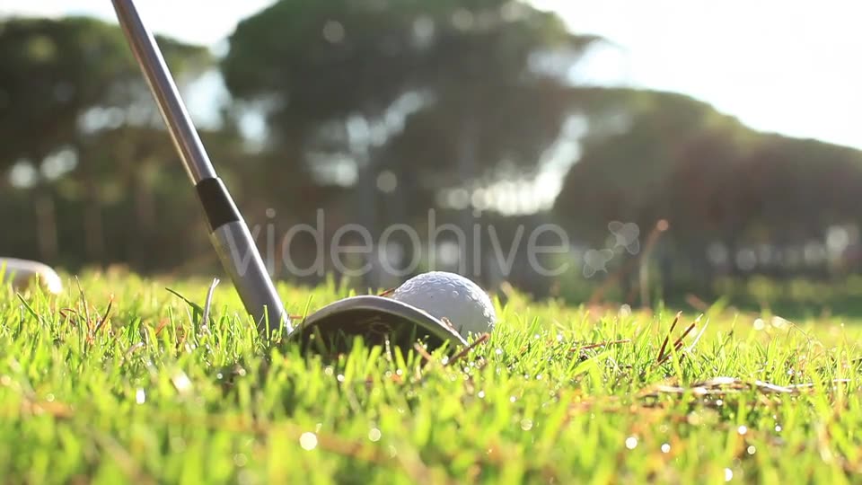 Golf Swing  Videohive 11891628 Stock Footage Image 2