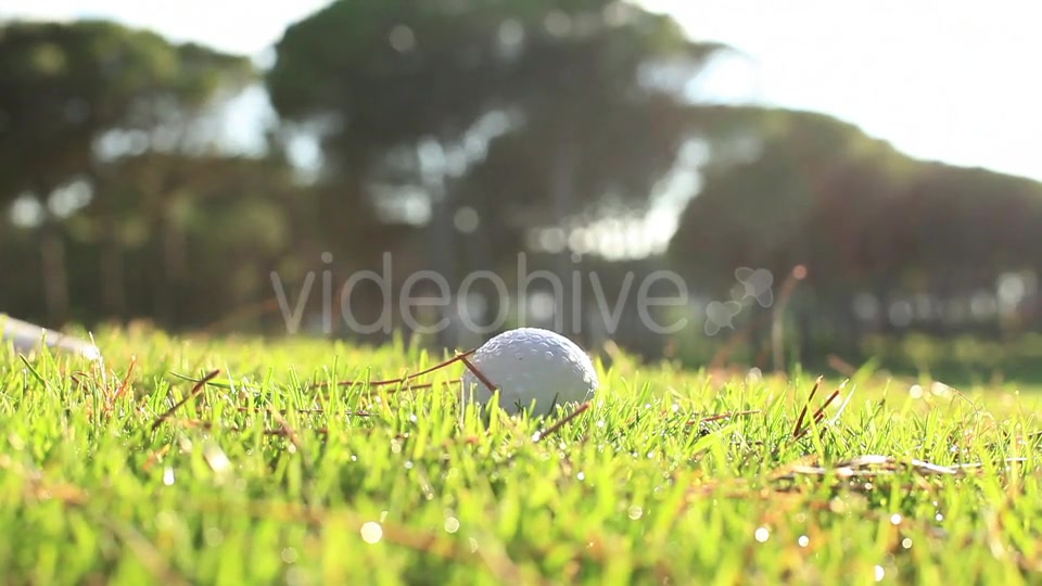 Golf Swing  Videohive 11891628 Stock Footage Image 4