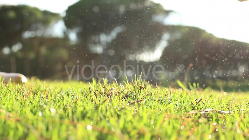 Golf Swing  Videohive 11891628 Stock Footage Image 5