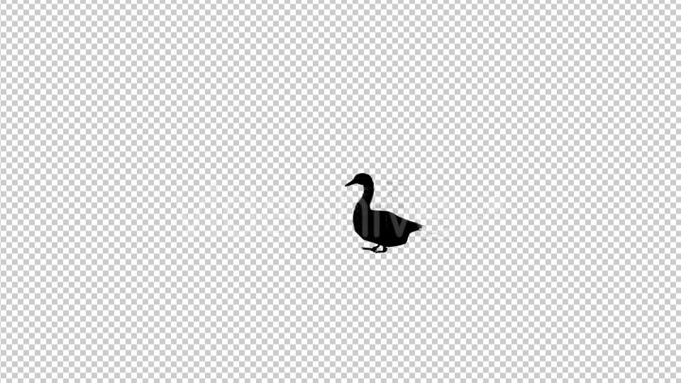 Goose Silhouette Walk Animation - Download Videohive 20475278