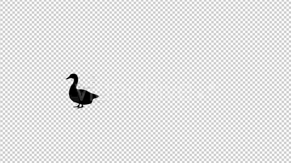 Goose Silhouette Walk Animation - Download Videohive 20475278