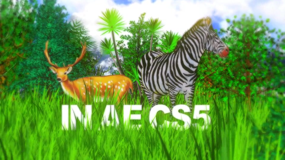 Graphic Jungle Videohive 16492926 After Effects Image 4