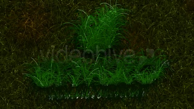 Grass Logo Reveal Videohive 136913 After Effects Image 2