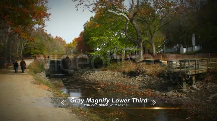 Gray Magnify Lower Third Videohive 3029036 After Effects Image 2