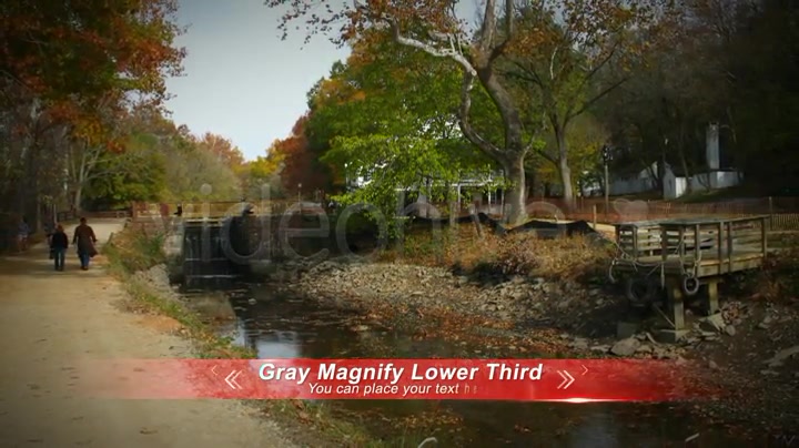 Gray Magnify Lower Third Videohive 3029036 After Effects Image 4