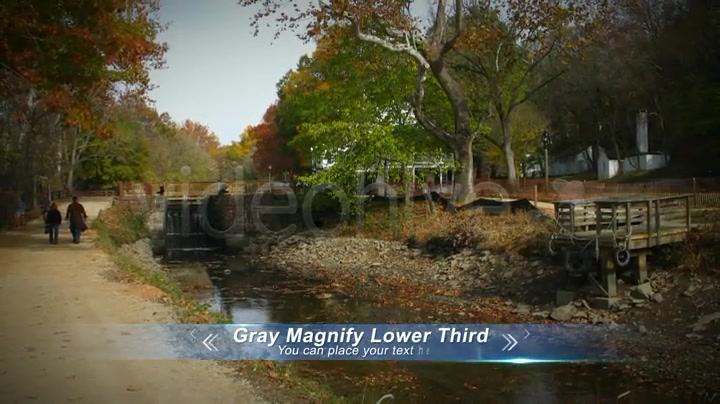 Gray Magnify Lower Third Videohive 3029036 After Effects Image 6