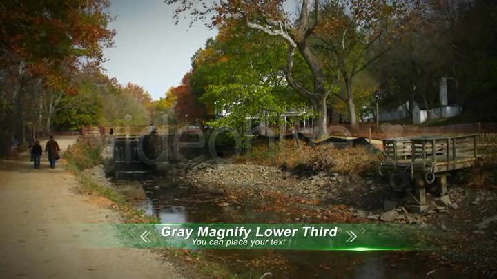 Gray Magnify Lower Third Videohive 3029036 After Effects Image 8