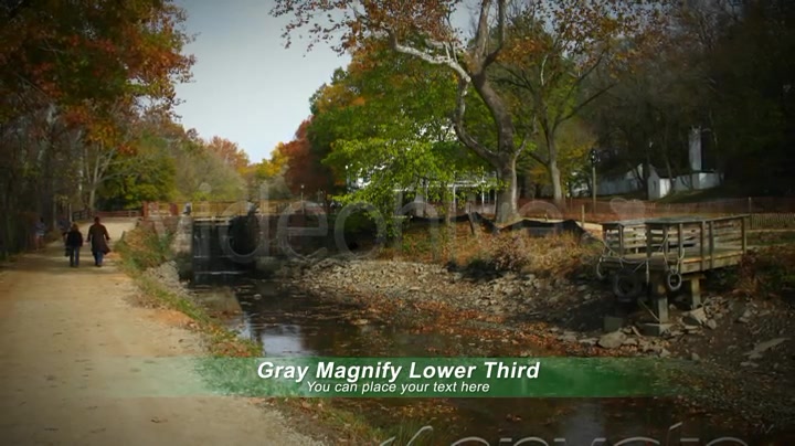 Gray Magnify Lower Third Videohive 3029036 After Effects Image 9