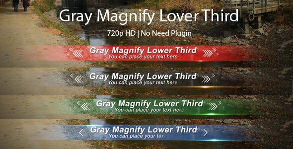 Gray Magnify Lower Third - Videohive Download 3029036