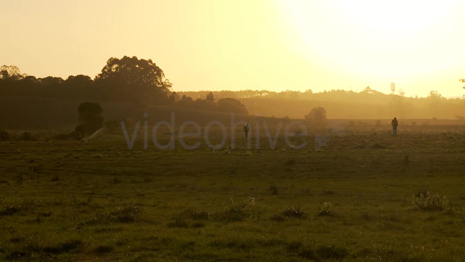 Green Agriculture Morning - Download Videohive 13184173