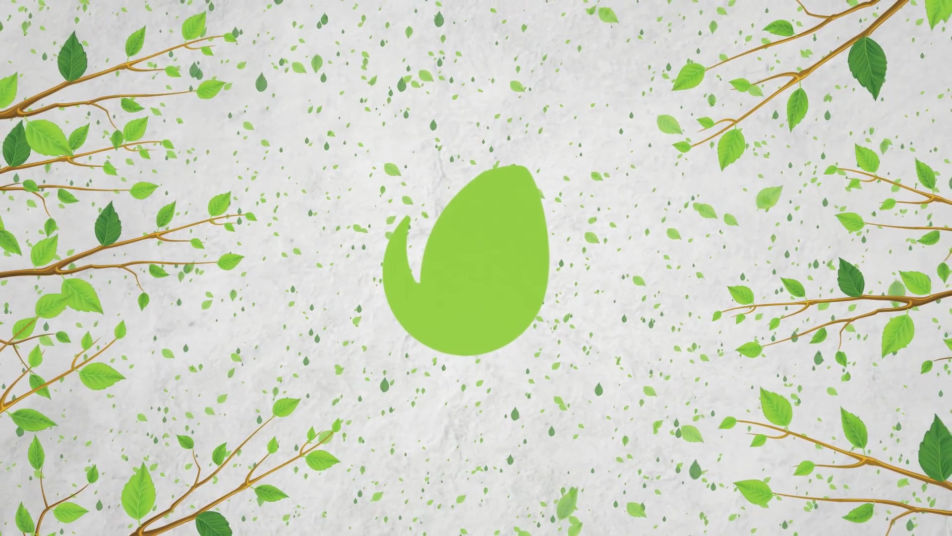 Green Eco Logo Reveal Videohive 23890427 After Effects Image 4