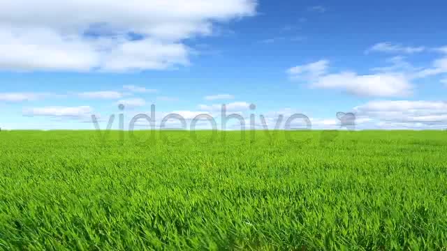 Green Field  Videohive 2224465 Stock Footage Image 1