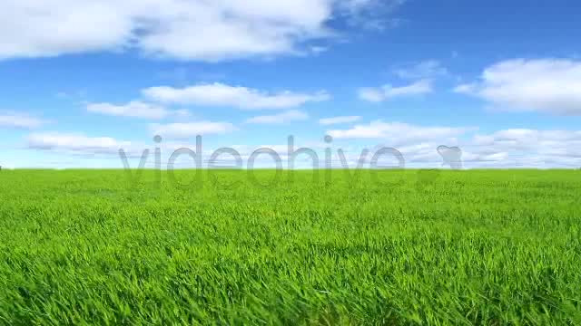 Green Field  Videohive 2224465 Stock Footage Image 10