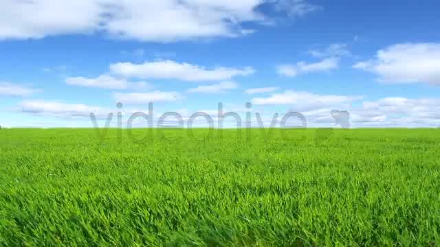 Green Field  Videohive 2224465 Stock Footage Image 11