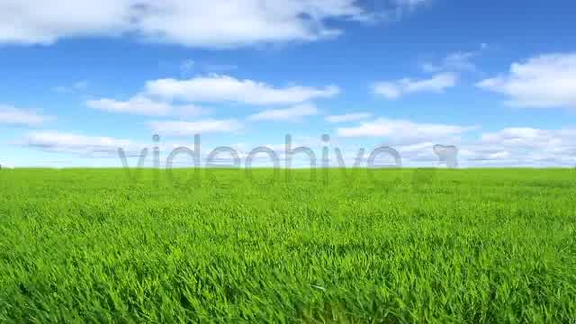 Green Field  Videohive 2224465 Stock Footage Image 12